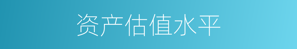 资产估值水平的同义词