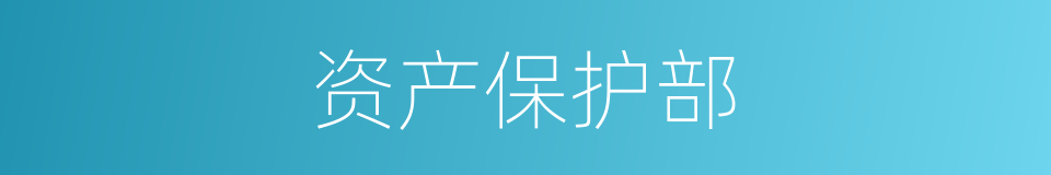 资产保护部的同义词