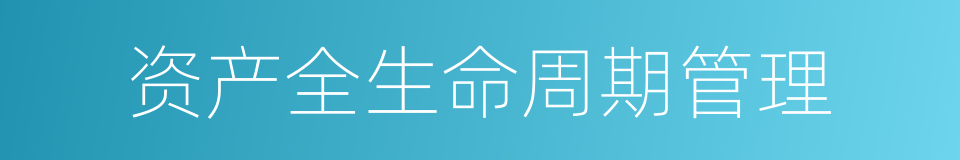 资产全生命周期管理的同义词