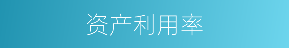 资产利用率的同义词
