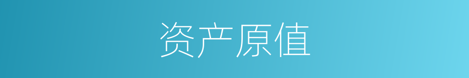 资产原值的同义词