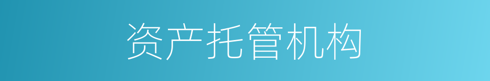 资产托管机构的同义词