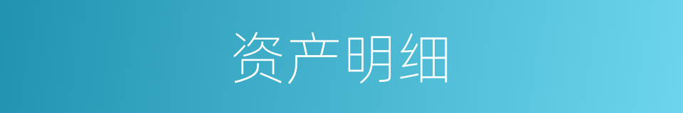 资产明细的同义词