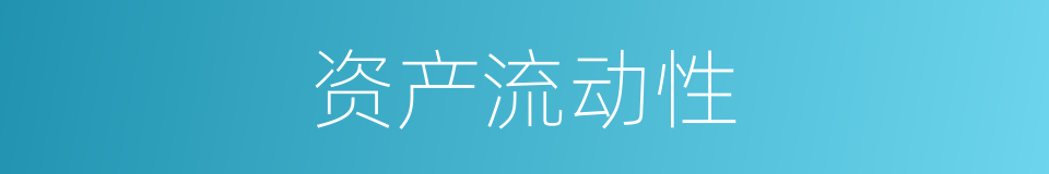 资产流动性的同义词
