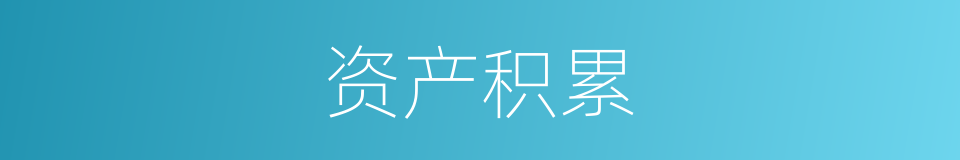 资产积累的同义词