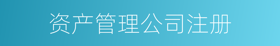 资产管理公司注册的同义词