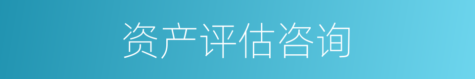 资产评估咨询的同义词