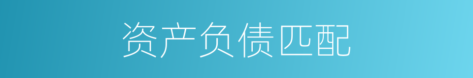 资产负债匹配的同义词