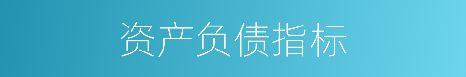 资产负债指标的同义词