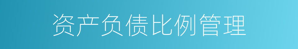 资产负债比例管理的同义词