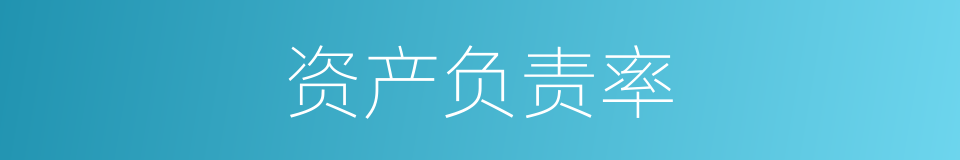资产负责率的同义词