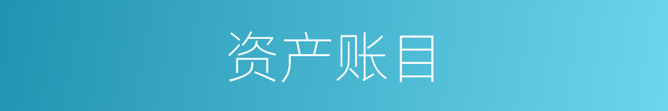 资产账目的同义词