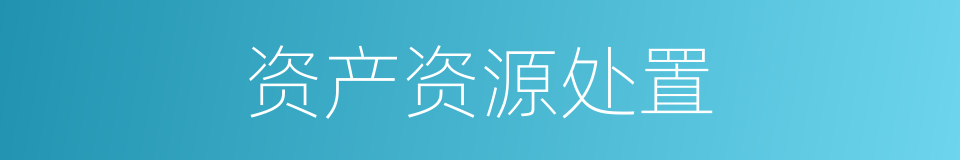 资产资源处置的同义词