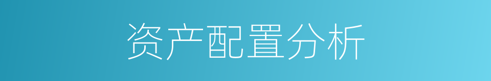 资产配置分析的同义词