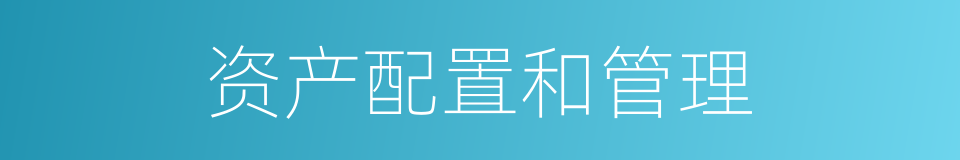 资产配置和管理的同义词
