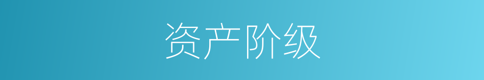 资产阶级的意思