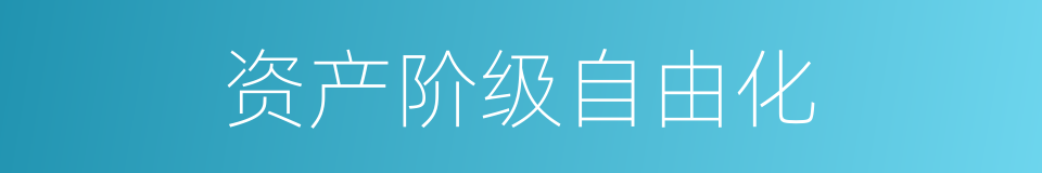 资产阶级自由化的同义词