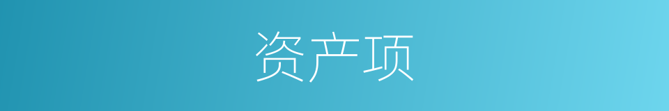 资产项的同义词