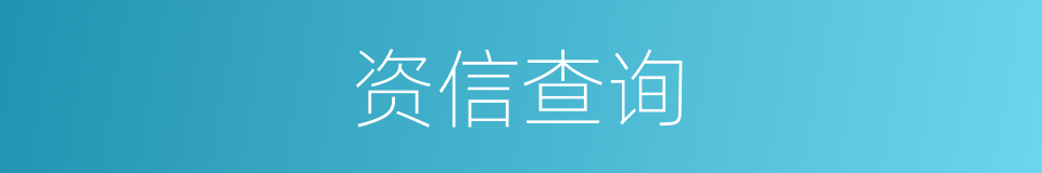 资信查询的同义词