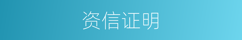资信证明的同义词