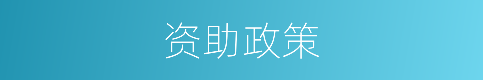 资助政策的同义词