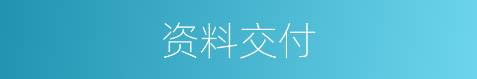 资料交付的同义词