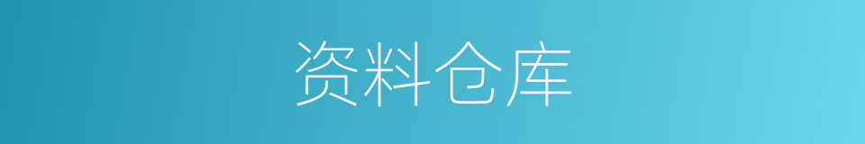资料仓库的同义词