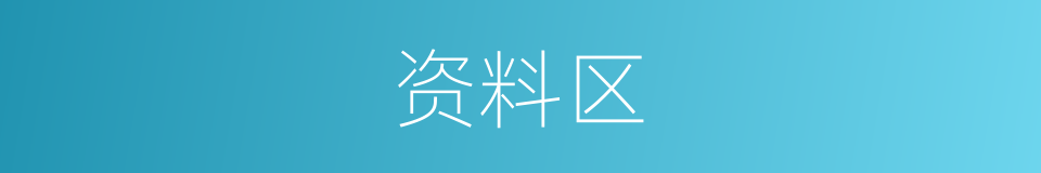 资料区的同义词