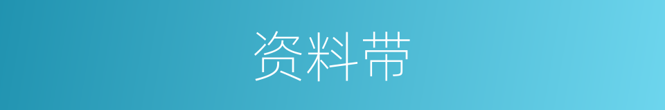 资料带的同义词