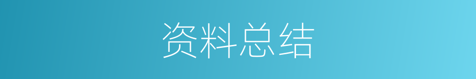 资料总结的同义词