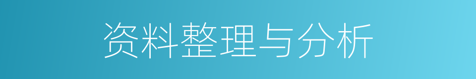 资料整理与分析的同义词