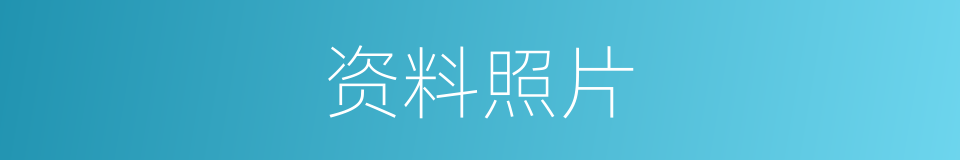 资料照片的同义词