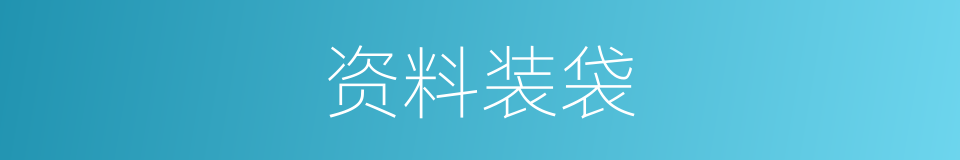 资料装袋的同义词