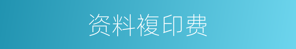 资料複印费的同义词