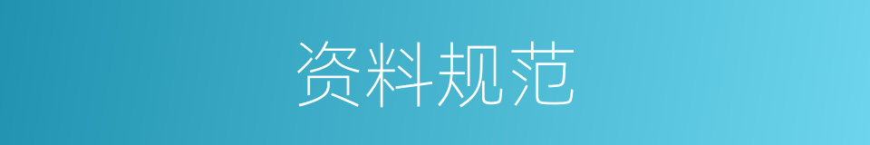 资料规范的同义词