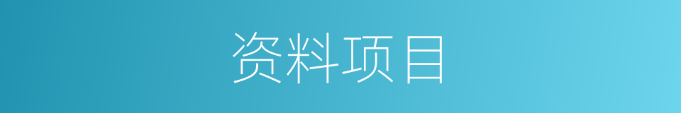 资料项目的同义词