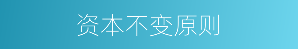 资本不变原则的同义词