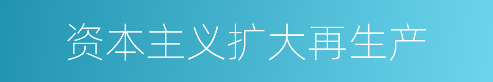 资本主义扩大再生产的同义词