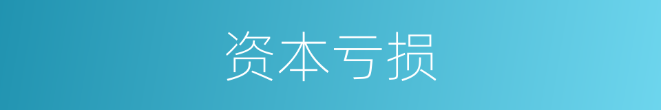 资本亏损的同义词