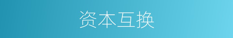 资本互换的同义词