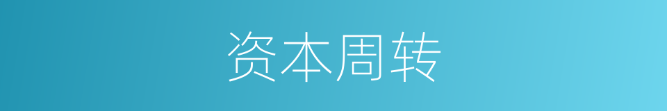 资本周转的同义词