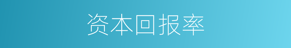 资本回报率的同义词