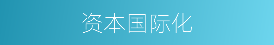 资本国际化的同义词