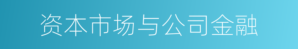 资本市场与公司金融的同义词