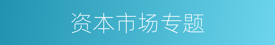 资本市场专题的同义词