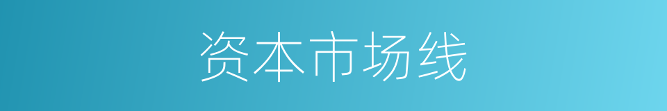 资本市场线的同义词