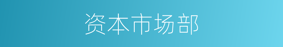 资本市场部的同义词