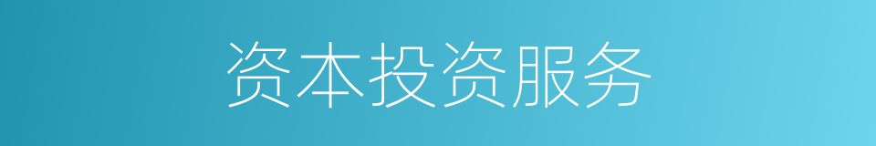 资本投资服务的同义词