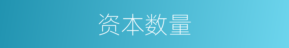 资本数量的同义词