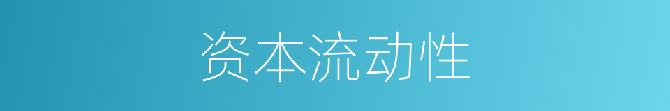 资本流动性的同义词